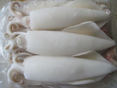 1640240461-cleansquid